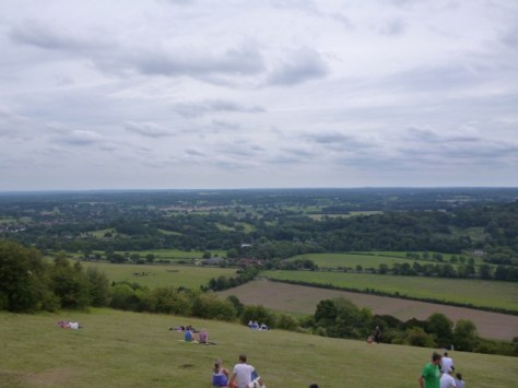 View fro the top of Box Hill