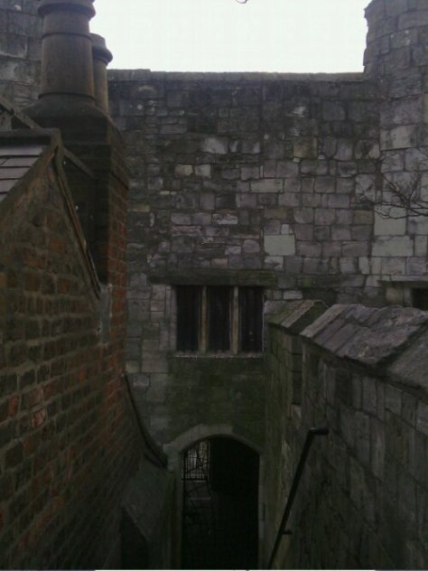 IMG_20120229_170239.jpg image