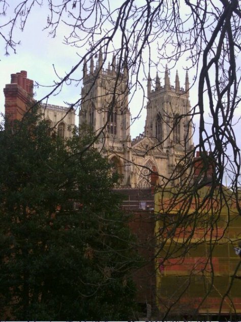 IMG_20120229_170307.jpg image