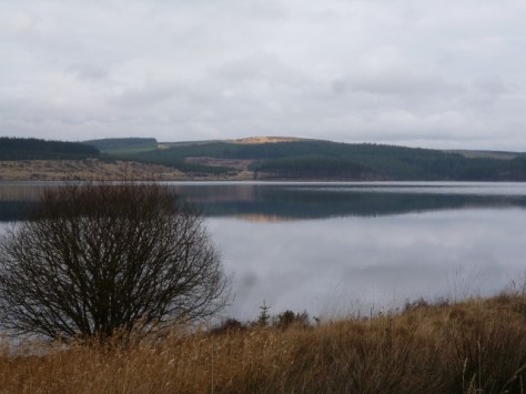 Keilder Reflection 4