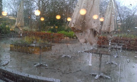 From the Café window