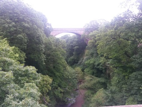 wp-1465552658031 image