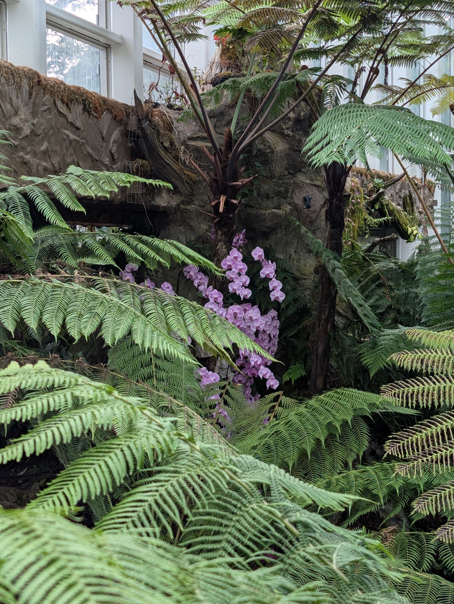 pxl_20241201_0248435779053575660648655835