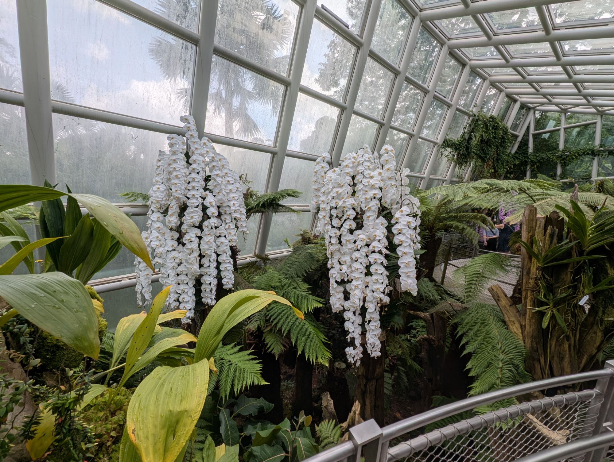 pxl_20241201_0249459162625153315869266959